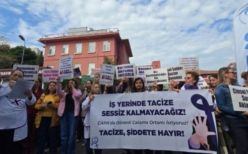 Kadına Yönelik Şiddet Olayları ve Sağlık Çalışanlarının Taciz Tepkisi